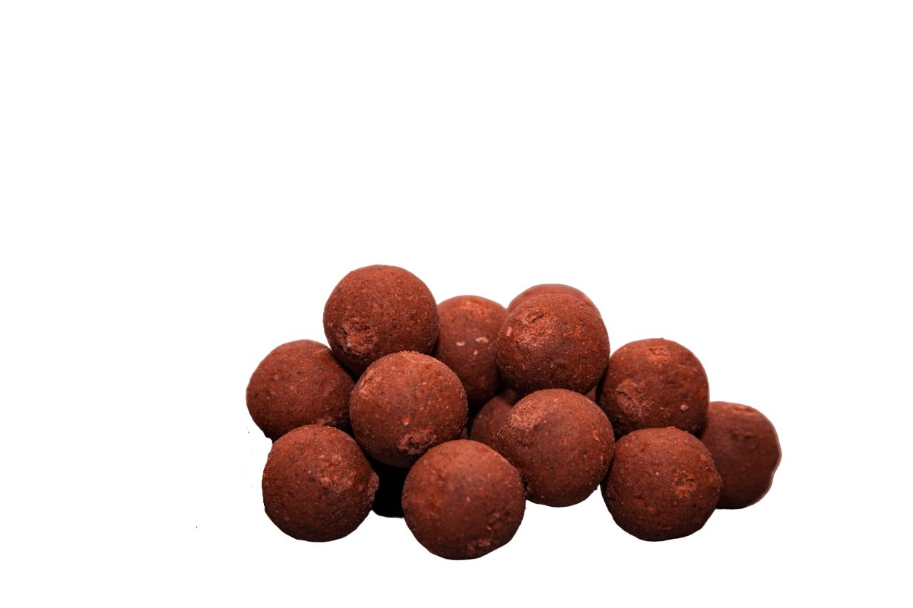 fishenspice-boilies